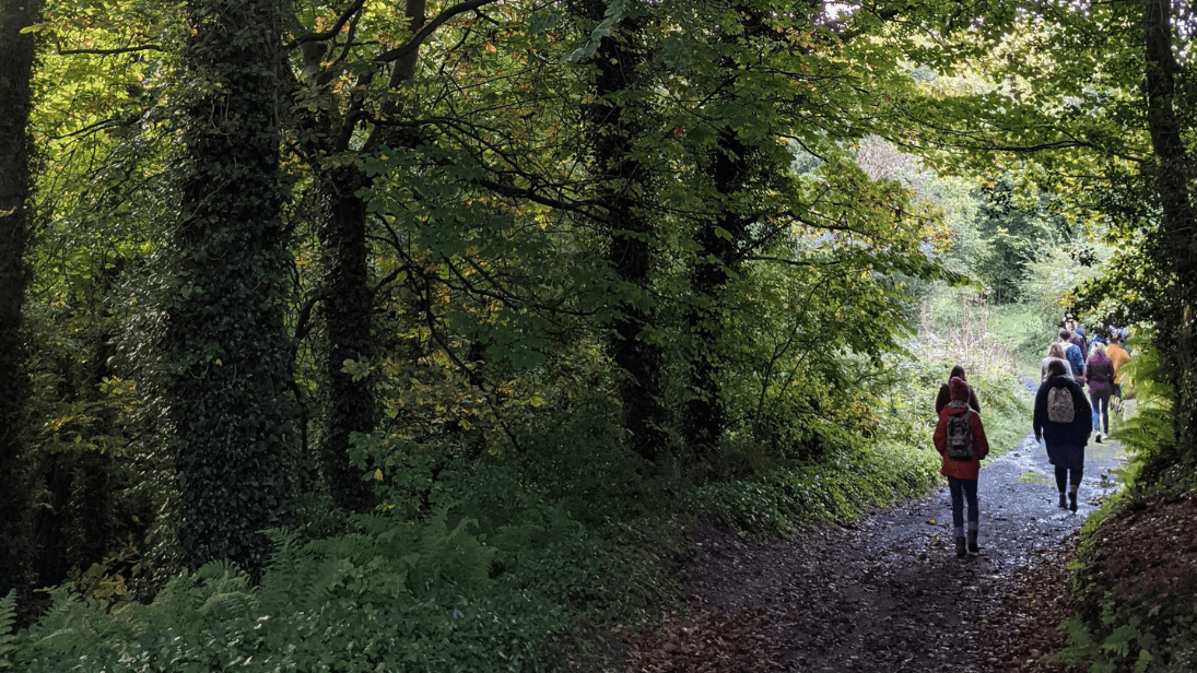 3 people walking on a stone path through a dense green forest