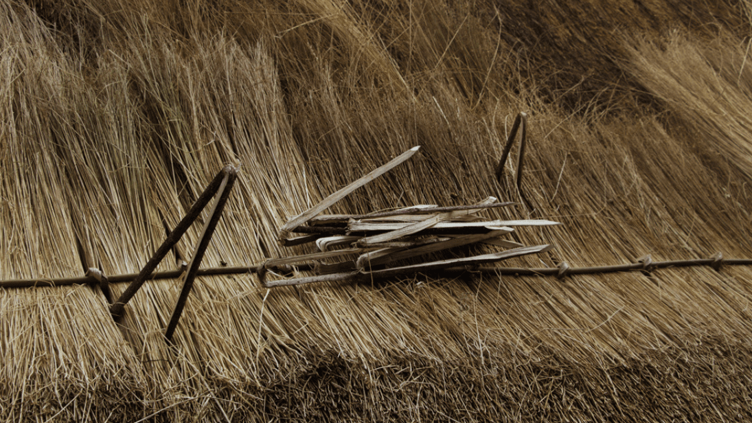 A thatched roof with wooden pegs resting on the thatch. The wooden pegs hold the bundles of thatch in place. 