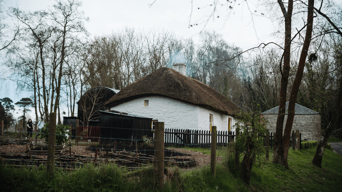 A white wash cottage with thatched roof and yellow window frames pictured in the distance with grass and bare trees in the foreground.