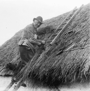 A man on a ladder thatching a roof, circa late 1800s.