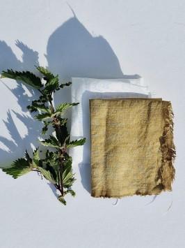 Linen fabric before and after it has been dyed by August nettles