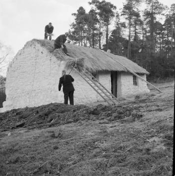 Three man stand around a cottage getting thatched. Two men are on the roof, with the third standing below them passing up straw.