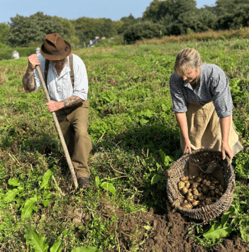 Man and woman harvesting potatoes in a field