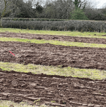 Partially ploughed field
