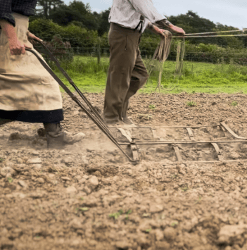 Two people walk to the right of the frame, churning soil.
