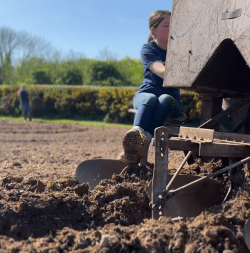 A woman sits on the back of a tractor to plant potatoes.