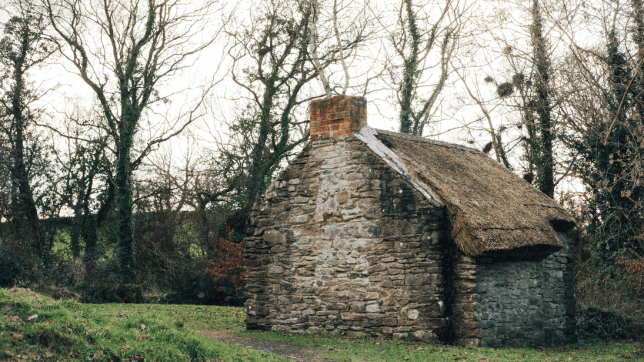 a wintery landscape, bare trees, and an old house at Ulster Folk Museum
