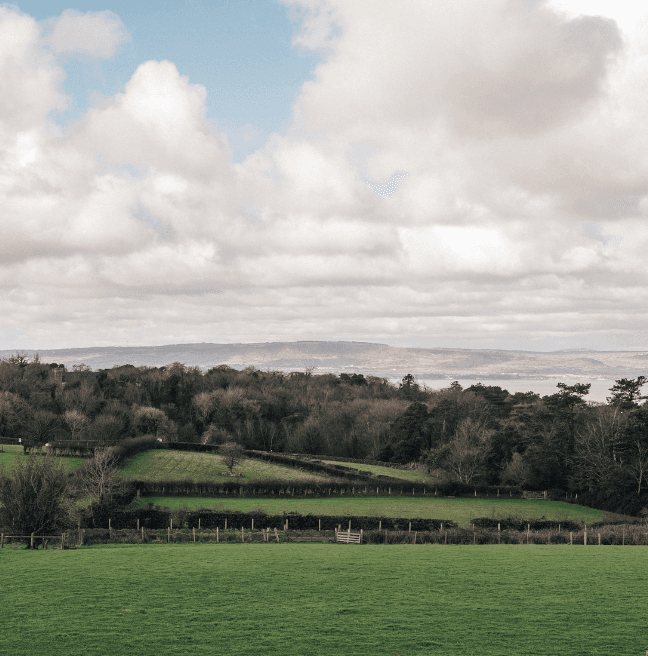 A view of country scenery: green fields, blue skies, and white clouds. 