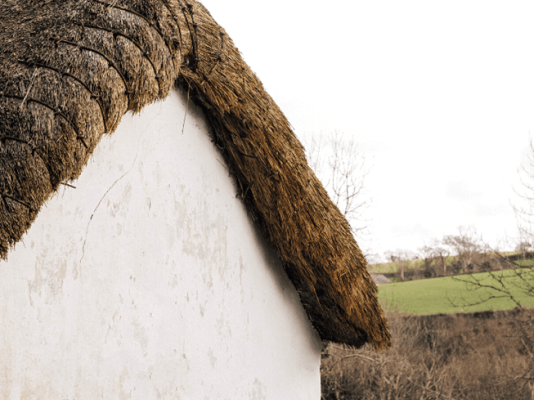 Thatch roof and white wall
