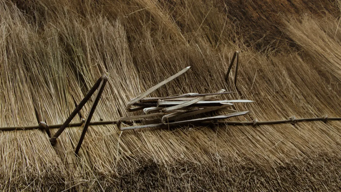 Thatching Rope Thatching | Ulster Folk Museum